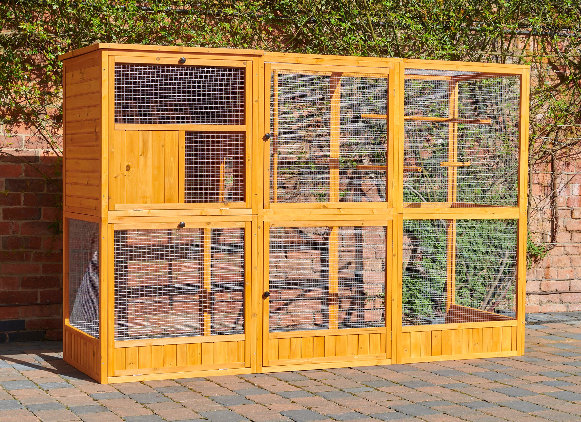 Cheap aviary for sale sale